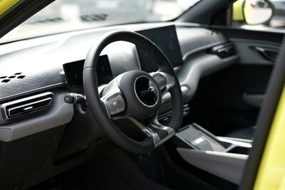 BYD Dolphin Neuwagen