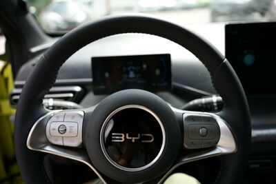 BYD Dolphin Neuwagen