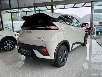 BYD Dolphin Neuwagen