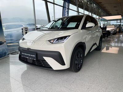 BYD Dolphin Neuwagen