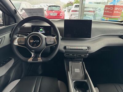 BYD Dolphin Neuwagen