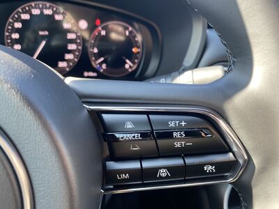 Mazda CX-60 Tageszulassung