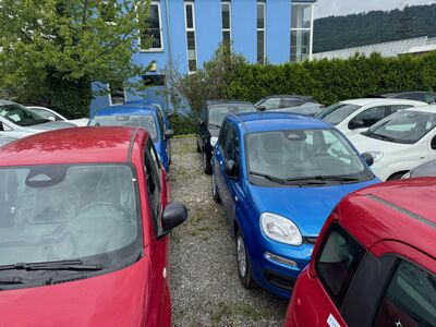 Fiat Panda Tageszulassung