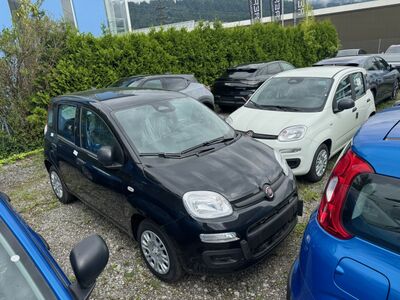 Fiat Panda Tageszulassung