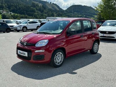 Fiat Panda Tageszulassung