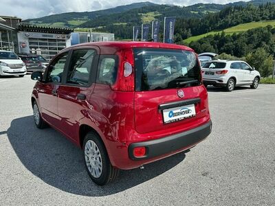 Fiat Panda Tageszulassung