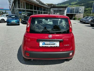 Fiat Panda Tageszulassung