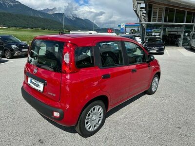 Fiat Panda Tageszulassung