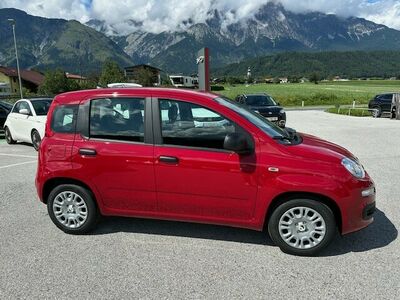 Fiat Panda Tageszulassung