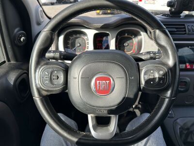 Fiat Panda Gebrauchtwagen