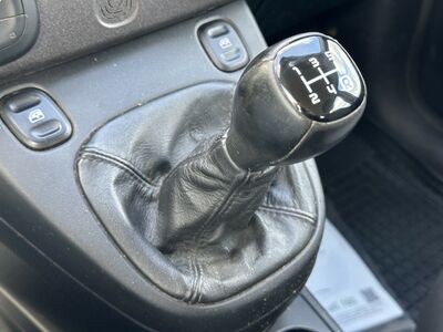 Fiat Panda Gebrauchtwagen