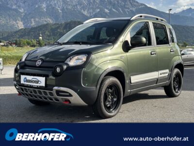 Fiat Panda Gebrauchtwagen