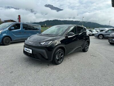 BYD Dolphin Surf Vorführwagen