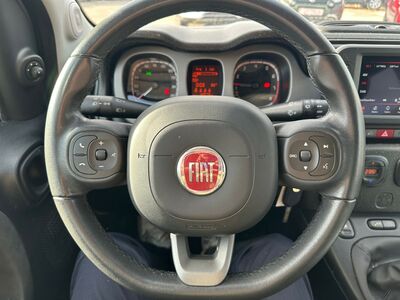 Fiat Panda Gebrauchtwagen