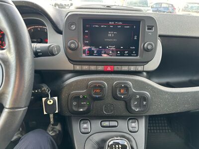 Fiat Panda Gebrauchtwagen