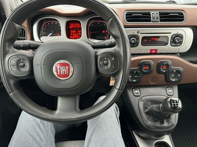 Fiat Panda Gebrauchtwagen Fiat Panda Gebrauchtwagen