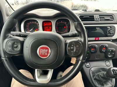 Fiat Panda Gebrauchtwagen Fiat Panda Gebrauchtwagen