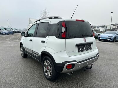 Fiat Panda Gebrauchtwagen Fiat Panda Gebrauchtwagen