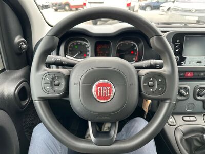 Fiat Panda Gebrauchtwagen
