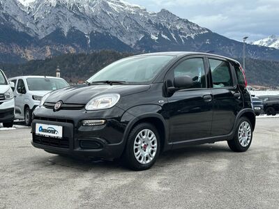 Fiat Panda Gebrauchtwagen