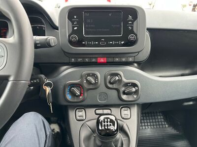 Fiat Panda Gebrauchtwagen