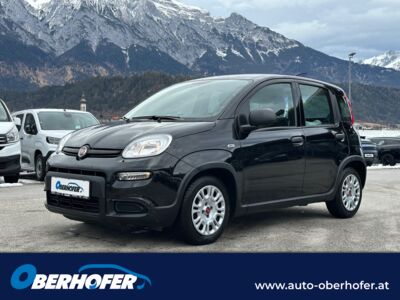 Fiat Panda Gebrauchtwagen