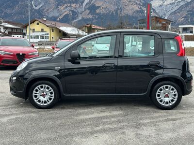 Fiat Panda Gebrauchtwagen