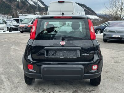 Fiat Panda Gebrauchtwagen