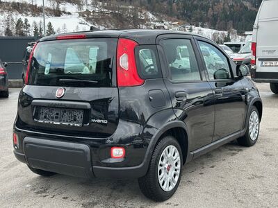 Fiat Panda Gebrauchtwagen