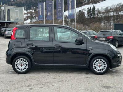 Fiat Panda Gebrauchtwagen