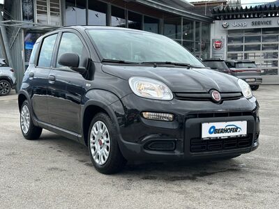 Fiat Panda Gebrauchtwagen