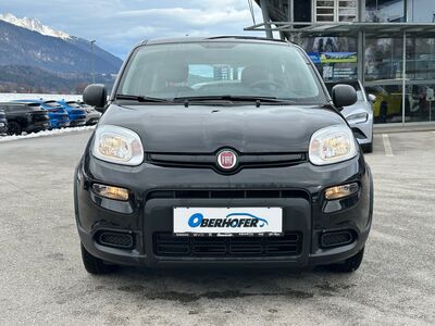 Fiat Panda Gebrauchtwagen