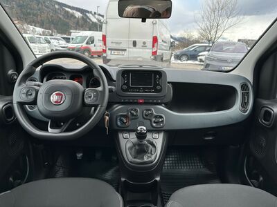 Fiat Panda Gebrauchtwagen
