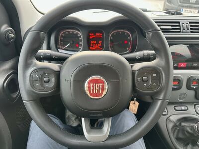Fiat Panda Gebrauchtwagen