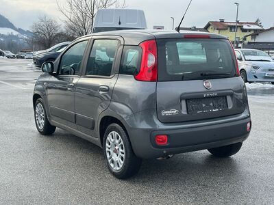 Fiat Panda Gebrauchtwagen