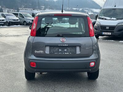 Fiat Panda Gebrauchtwagen