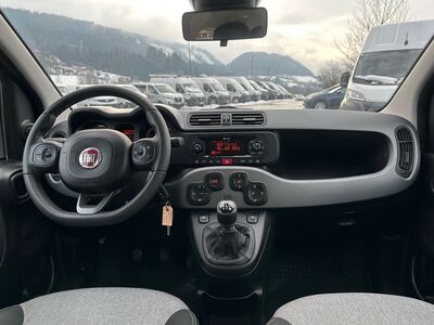 Fiat Panda Gebrauchtwagen