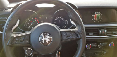 Alfa Romeo Stelvio Gebrauchtwagen