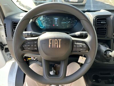 Fiat Ducato Tageszulassung