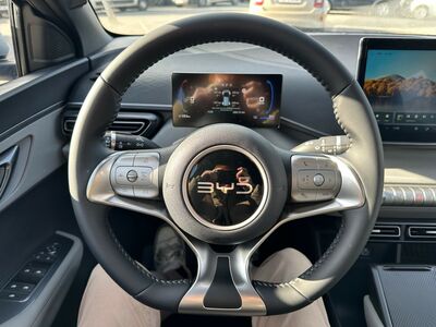 BYD Dolphin Surf Vorführwagen