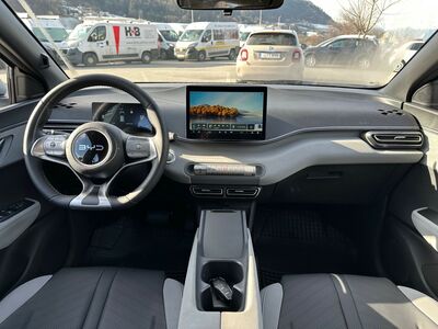 BYD Dolphin Surf Vorführwagen