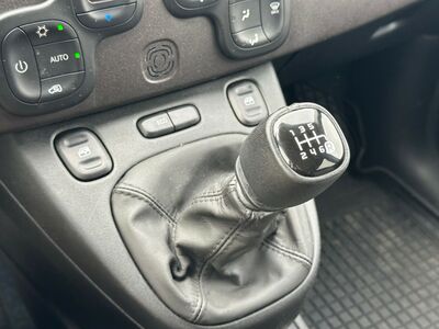 Fiat Panda Gebrauchtwagen