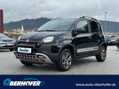 Fiat Panda Gebrauchtwagen Fiat Panda Gebrauchtwagen