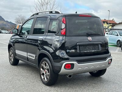 Fiat Panda Gebrauchtwagen