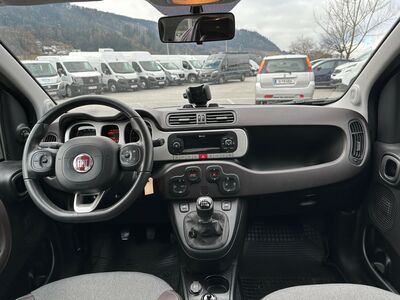 Fiat Panda Gebrauchtwagen