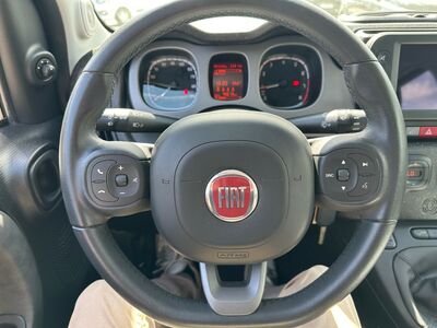 Fiat Panda Gebrauchtwagen