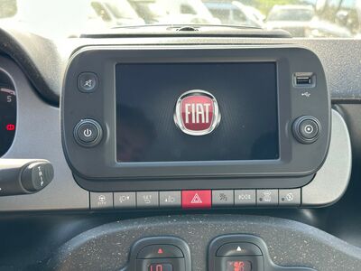 Fiat Panda Gebrauchtwagen