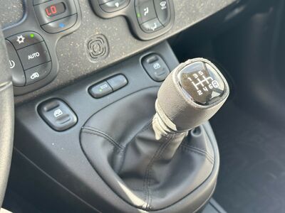 Fiat Panda Gebrauchtwagen