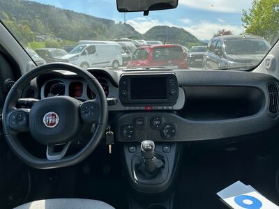 Fiat Panda Gebrauchtwagen