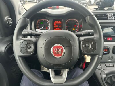 Fiat Panda Gebrauchtwagen
